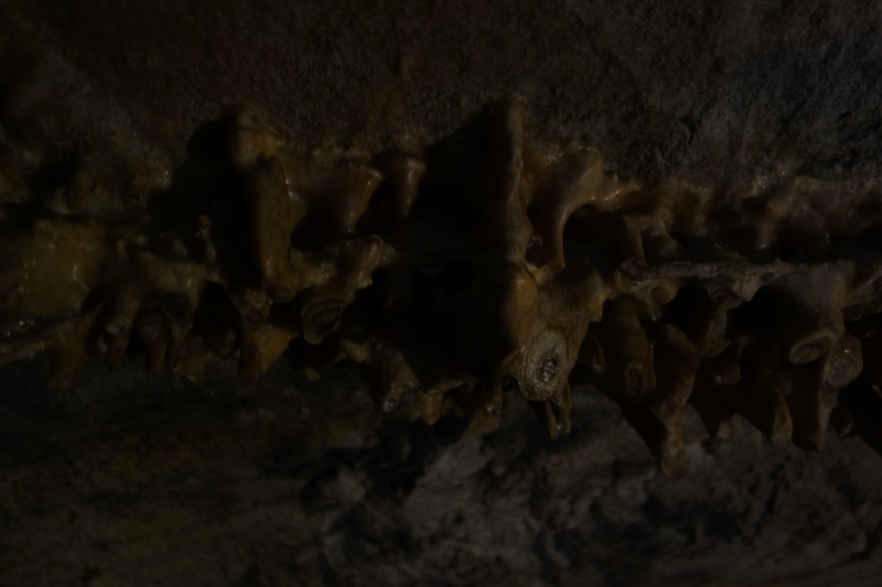 Illustration for article titled Lehman Caves